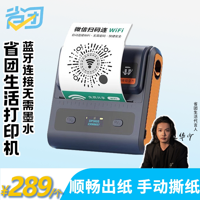 Portable Printer for Group Activities Dp300S Qr Code Small Thermal Handheld Bluetooth Label Printer