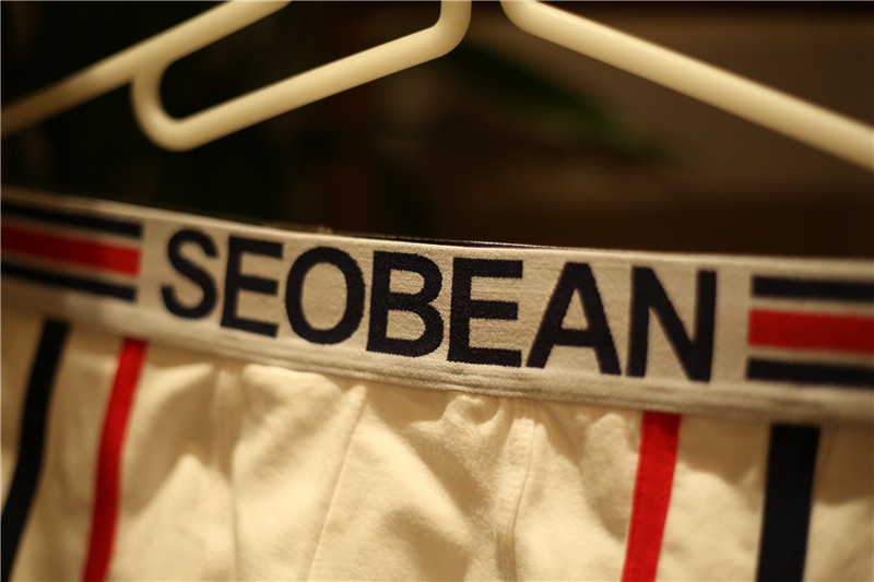 Đồ lót nam Cotton Sexy Nam Boxer Thanh niên Thoải mái thoáng khí Eo thấp Quần lót nam quần lót lụa