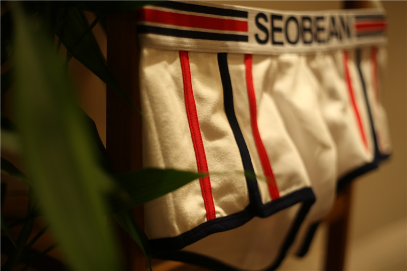 Đồ lót nam Cotton Sexy Nam Boxer Thanh niên Thoải mái thoáng khí Eo thấp Quần lót nam quần lót lụa