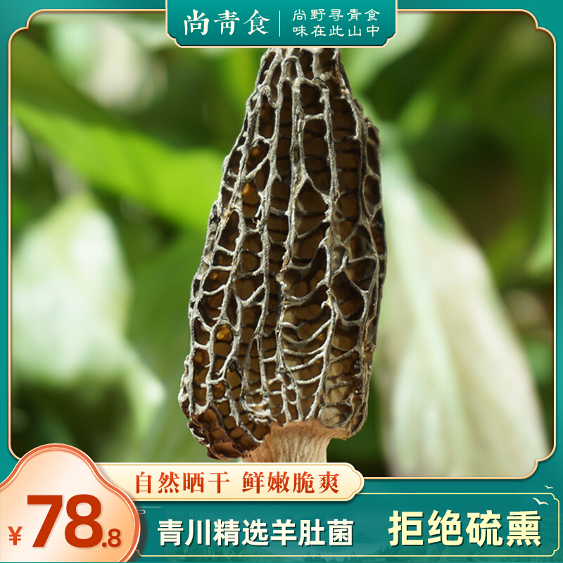 Shang Qingnian selected Sichuan Qingchuan sheep belly fungus dried goods 50g farmyard Non-wild 500 Fresh mining to be dried naturally