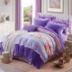 Phiên bản Hàn Quốc của lông cừu Pháp bốn mảnh dày mùa đông san hô lông cừu flannel Hàn Quốc 4 mảnh đặt 1,8m ấm flannel