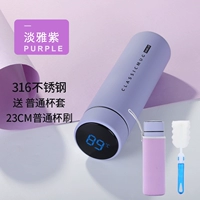 Элегантный фиолетовый