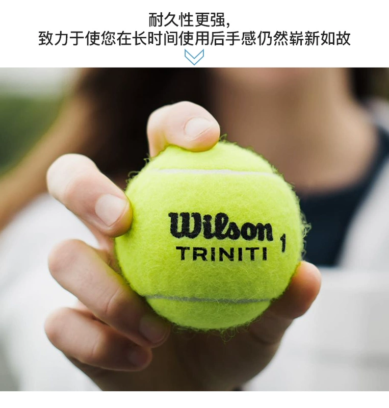 Wilson Wilson Tennis Australian Open US Open US OPEN huấn luyện bóng tennis bền - Quần vợt