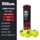 Wilson Wilson Tennis Australian Open US Open US OPEN huấn luyện bóng tennis bền - Quần vợt