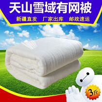 The quilt Xia Liang is Xinjiang cotton cotton baby students pure quilts Tianshan Snow