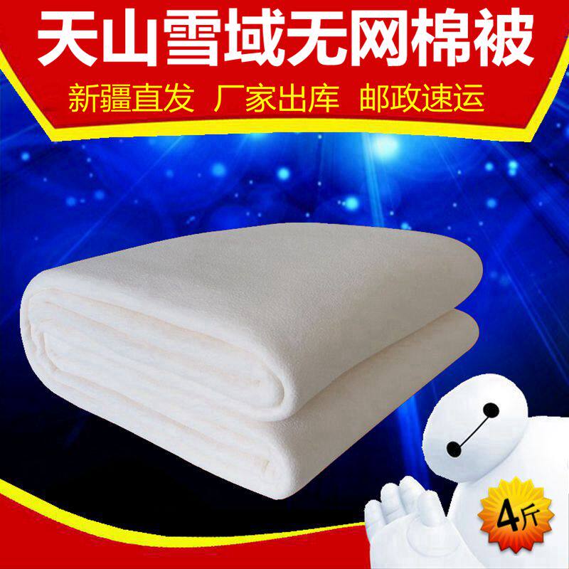 Summer cool quilt air-conditioning quilt cotton quilt cotton quilt Tianshan snowy cotton tire no net Melaleuca student quilt dormitory quilt