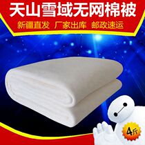 summer quilts air conditioning cotton quilt cotton tian shan xue yu Batt net thousand students dormitory mattress