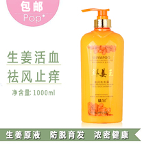 Ginger Feng Dense Hair Shampoo SHAMPOO WOMAN MALE CONTROL OIL STOP ITCHING TO SCRAPY WASH JACKET WITH GINGER JUICE ESSENTIAL OIL
