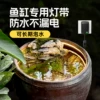 Товары от leesa旗舰店