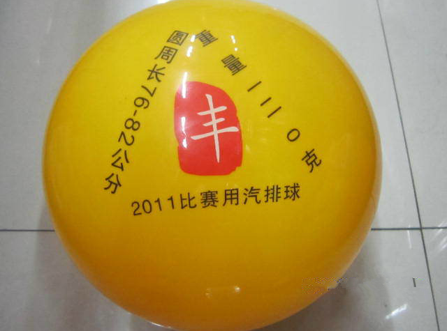 Ballon de volley-ball - Ref 2012080 Image 10
