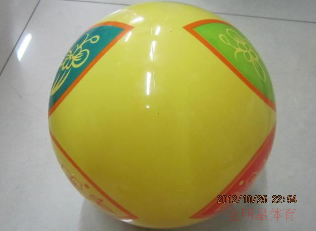 Ballon de volley - Ref 2013255 Image 5