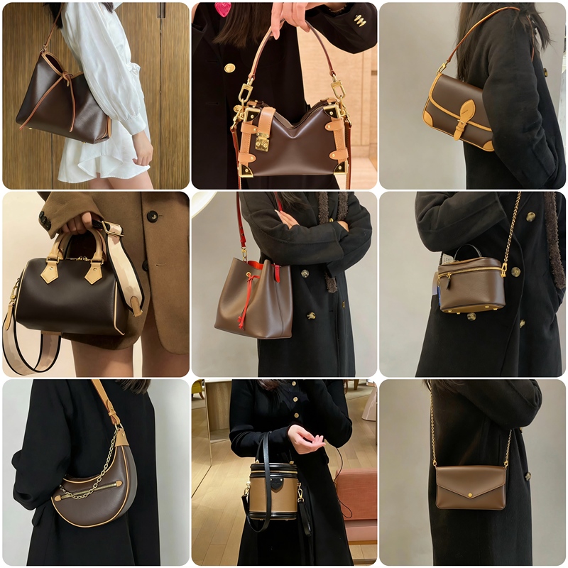 Classic Monogram Carryall Women's Bag Tote Bucket Pillow Messenger Allin Bb Baguette Ivy Horn Nano