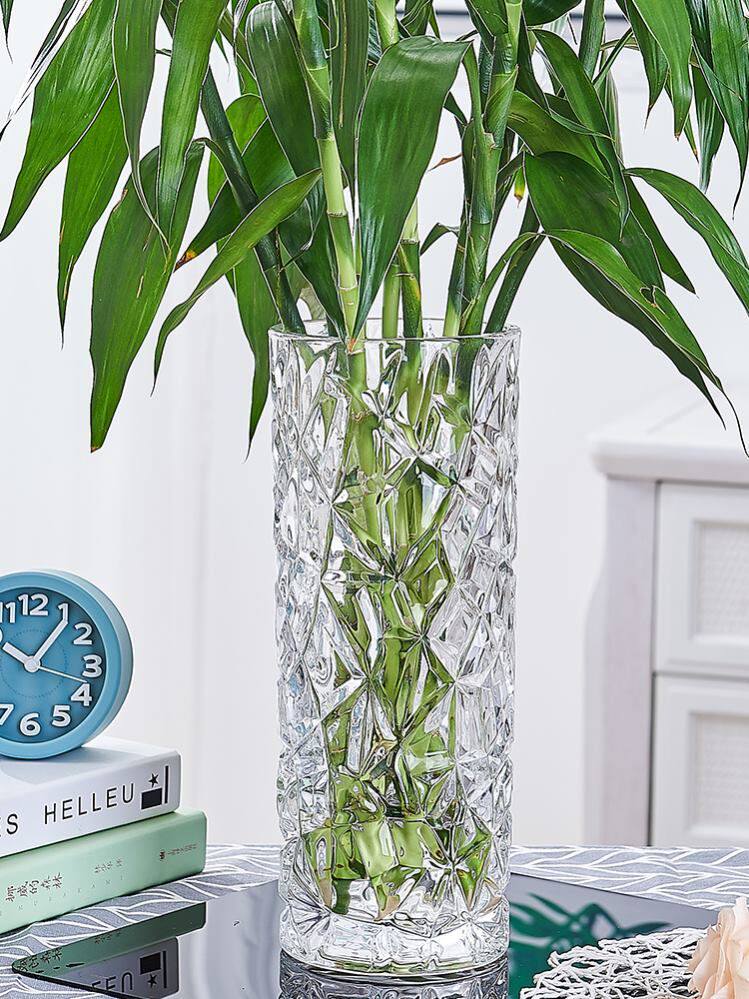 Water Peat Rich Bamboo Special Vase Large Caliber Thickened Glass 2021 New Light Lavish High-end Pendulum Flower Arrangement Big