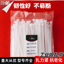 Nylon cable tie plastic 4 × 250mm self-locking buckle 4x250 wire strangling dog electrician bundled White