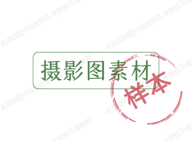 摄影图素材