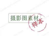 摄影图素材-婚礼素材网