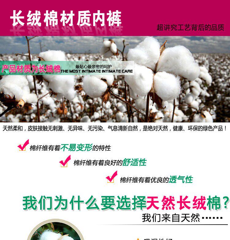 Slip doux en coton - Ref 651810 Image 12