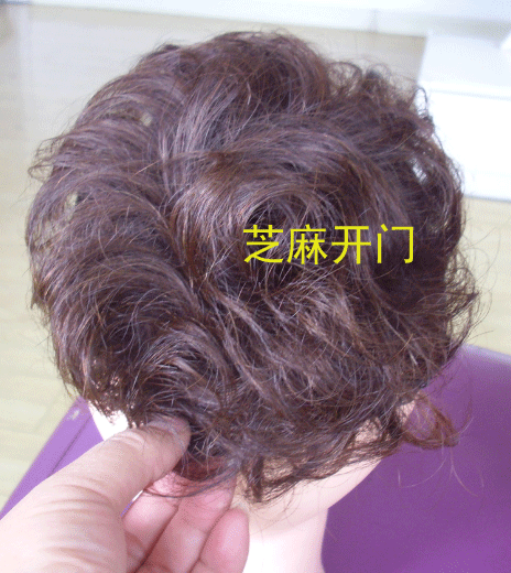 Extension cheveux - Chignon - Ref 231230 Image 5