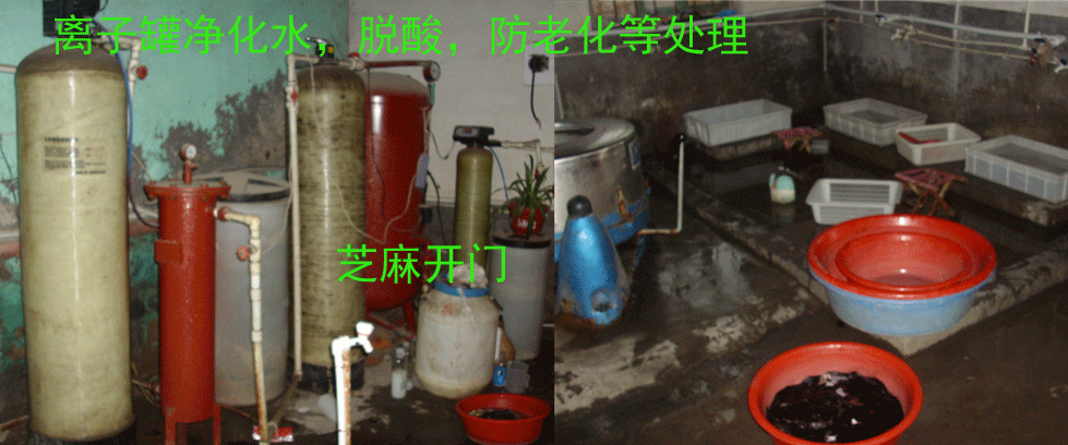 Tête mannequin - Ref 281305 Image 33