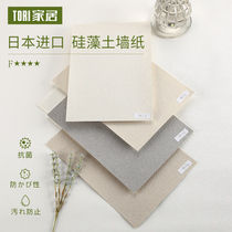 Japan East Rational Imported Kieselguhr Wallpaper Living Room TV Background Wall Paper Bedroom Minimalist Day Wall Paper Waterproofing