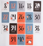 INS Baby Month Digital Post Mommy's Week Неделя Номера записного фонового фона мемориальная карта Мемориал