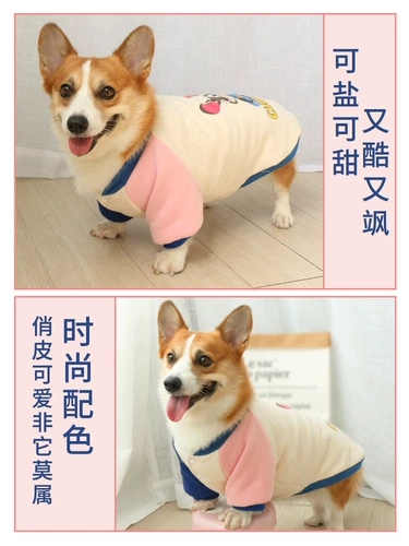 Одежда для любителей собаки осень, зима, зима и зима плюс бархатный плюшевый плюшевый корги