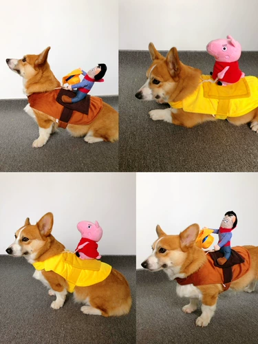 Собака езда в сетевом красном питомце смешной джинсовой рыцарь Корки Тедди Смешная маленькая свинья творческая одежда для собак