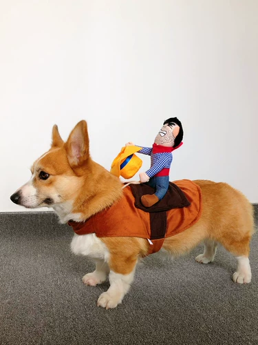 Собака езда в сетевом красном питомце смешной джинсовой рыцарь Корки Тедди Смешная маленькая свинья творческая одежда для собак