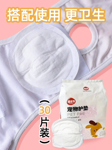 Пять лет старого магазина восемь цветов брюки брюки Pet Dog Физиологические штаны