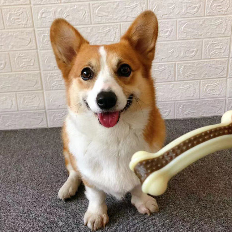 Kirky Dog Pooch Grindle Resistant to bite puppies Dogs Deodorant Special Bone Snacks Small Teddy Kirky