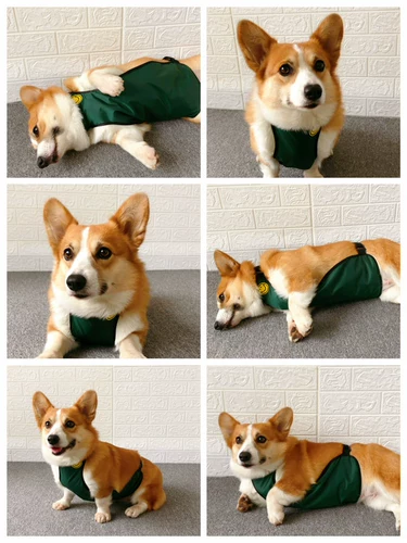 Дудоу, водонепроницаемый дождевик, удерживающий тепло демисезонный бандаж пупочный, анти-грязь