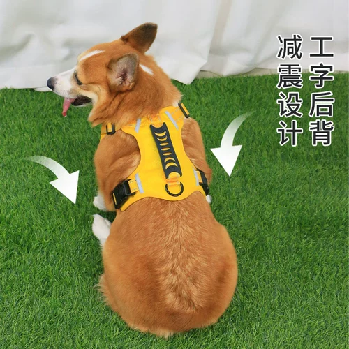 Петутная грудь детская сумка для собак, ходячие поводки поводки