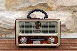 2022 по специальному Продавать япония сша радио