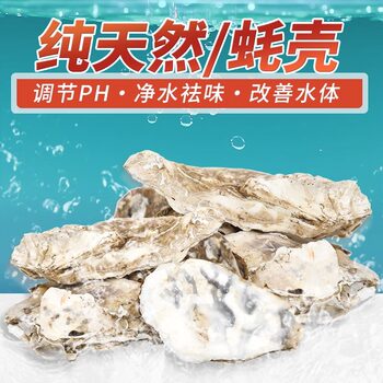 生蚝壳滤材锦鲤鱼池过滤材料牡蛎壳海蛎壳生化仓过滤仓专用滤材