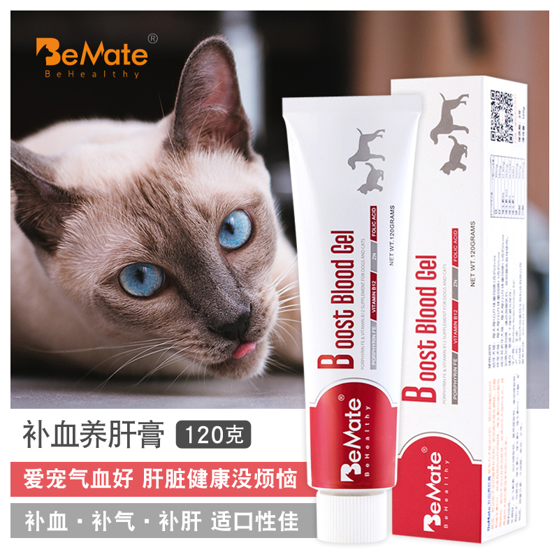 Pet hemohemia pest hemohemia pedic pest hemohepatic cat raw hemohemia cat anemia teddy dog