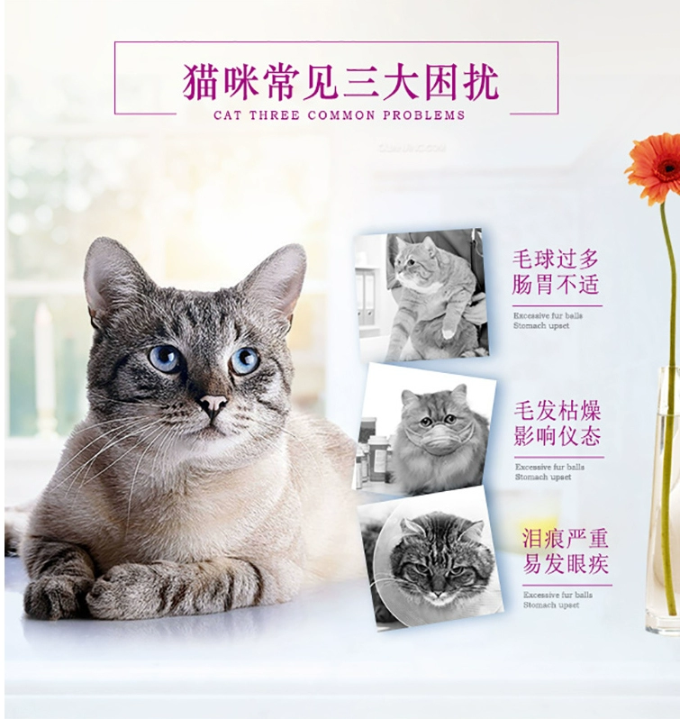 狼 狼 猫粮 牛肉 味 成 K 10Kg 毛 球 除 便 臭 亮 20 - Cat Staples