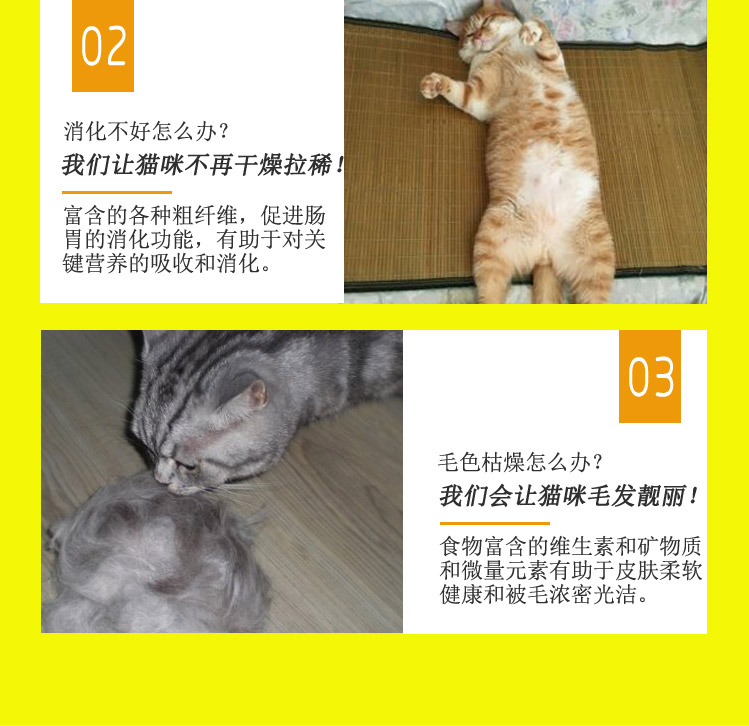 Full 49 Gà vàng đóng hộp Gà tươi Mèo ăn nhẹ mèo ướt thức ăn gói thịt tươi 170g catsrang 1kg