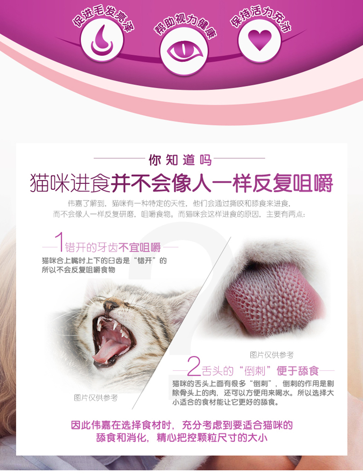Đầy đủ 49 包邮 嘉嘉 妙 鲜 包 chicken Chọn thịt gà Gói thức ăn ướt Đồ ăn nhẹ cho mèo Gói thịt tươi 85g - Đồ ăn nhẹ cho mèo đồ ăn vặt cho mèo	