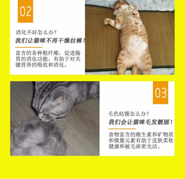Mèo vàng đóng hộp cá ngừ nguyên chất + thịt cua mèo ăn nhẹ thức ăn ướt 170g 18 tỉnh trên 49 nhân dân tệ cám mèo