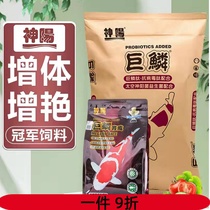 Shenyang giant scale koi fish feed competition grade fish food Lanshou butterfly carp granules breeding high protein fish food