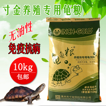 Inch golden tortoise turtle food hair color semi-aquatic turtle stone money Brazilian yellow edge grass turtle food hatchling turtle universal turtle food