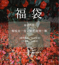 Nuannuan Peninsula lucky bag with coconut brown silk paving A bag of random plants fighting character No after-sales