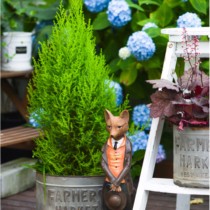 Warm Peninsula fragrant Crown Cypress Christmas tree Golden Crown Cypress potted pot pot table top potted Teachers Day activity foliage plants