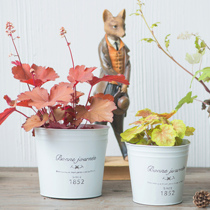 Warm Peninsula French day beautiful tin flower pot Alum root rose flower pot Green Mountain set basin