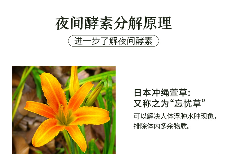 日本进口 ISDG 232种果蔬酵素粉15支*2盒 新升级 多款 图6