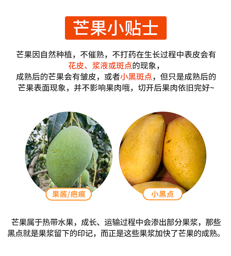 广西当季新鲜芒果整箱5斤现摘