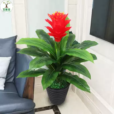 Simulated plants in the head of the living room ornaments landing fake flowers, small red palm potted decoration simulation flower bonsai