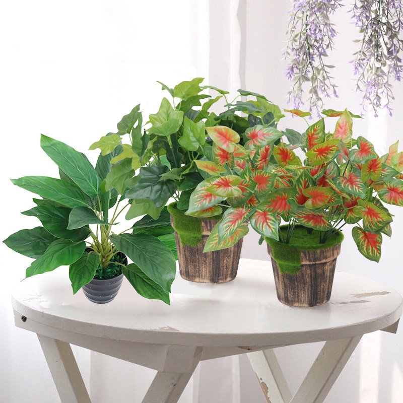 Simulation plant potted indoor decoration desktop flower green bonsai all season flowering living-room fake flowers and real flowers on the ground floor