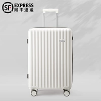 Раковина белая/двухслойная взрывозащищенная молния 𫔀