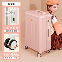 Модель порошка и модного молнии моды